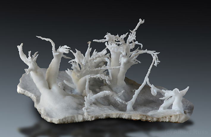 White aragonite (variety flos ferri) from Dobšiná, Slovakia