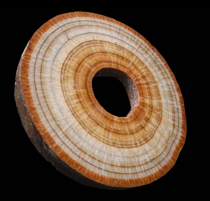 Layered aragonite recently formed inside the water pipes