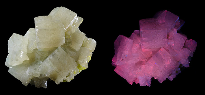 Pseudohexagonal white crystals of aragonite from Sicily, Italy in daylight and in UV light