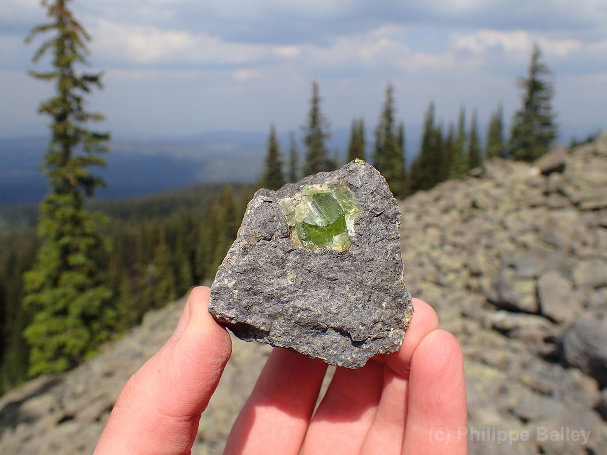 Green grain of gemmy forsterite in basalt from British Columbia, Canada