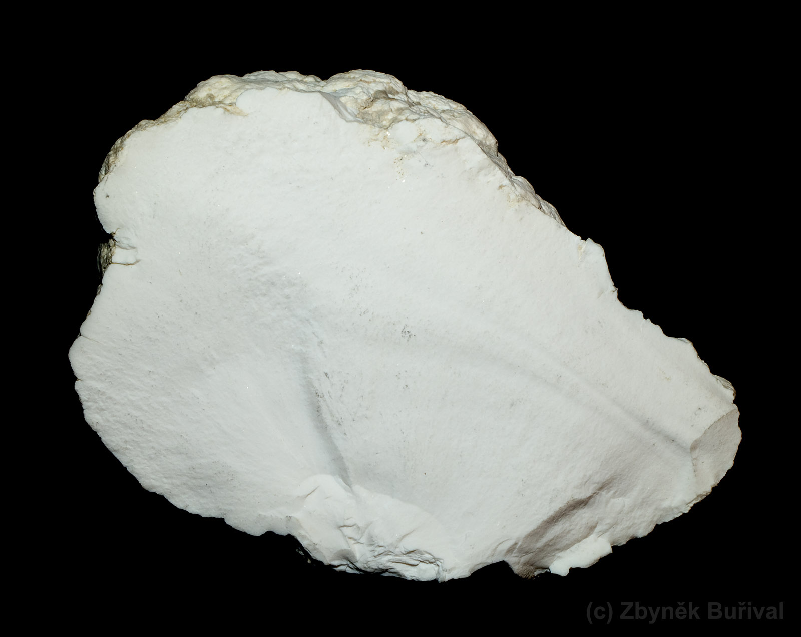 Fine grained massive nodule of magnesite from Bernartice, Czech Republic