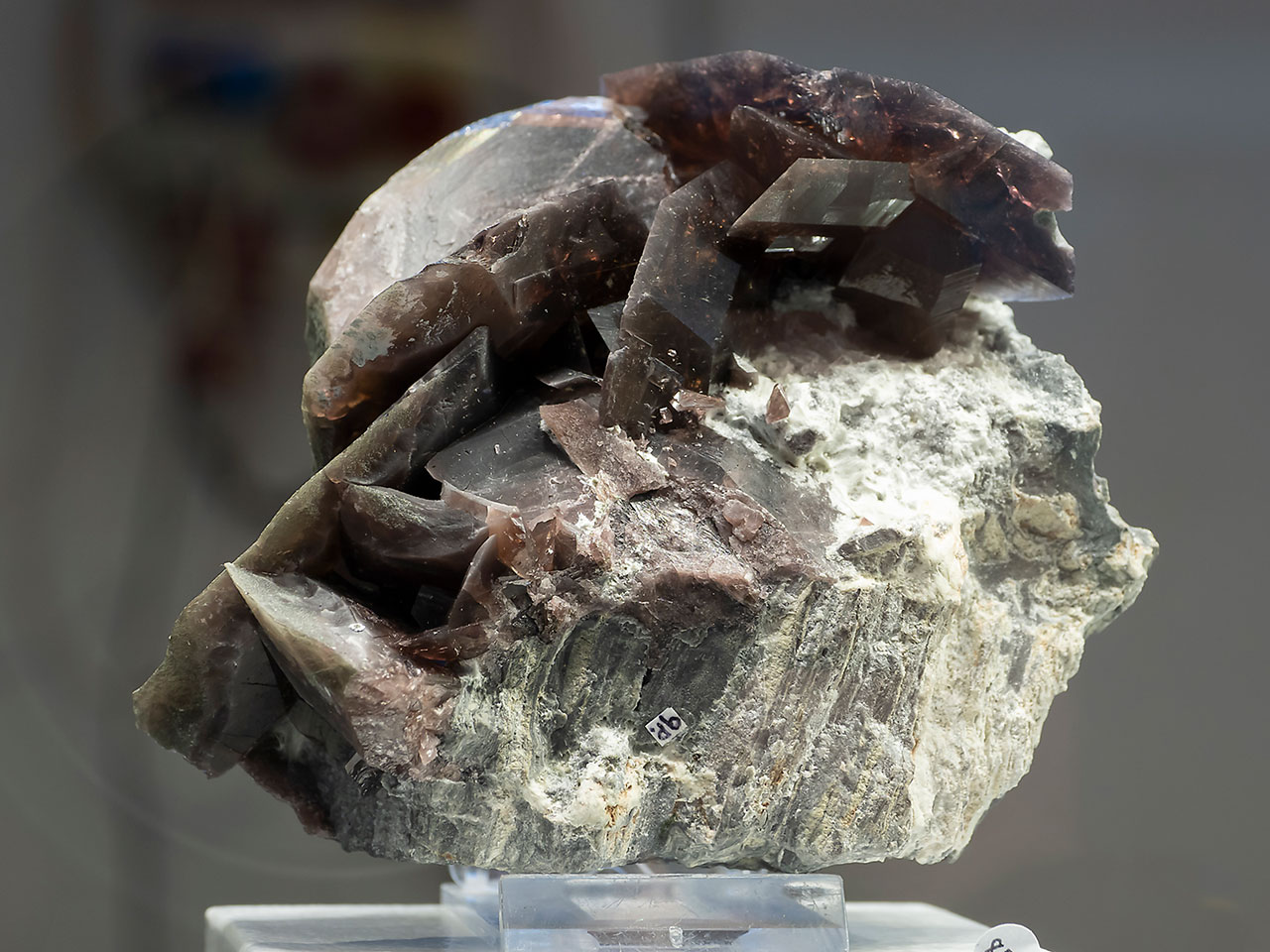 Classic axinite mineral specimen from Puiva, Ural Mts., Russia
