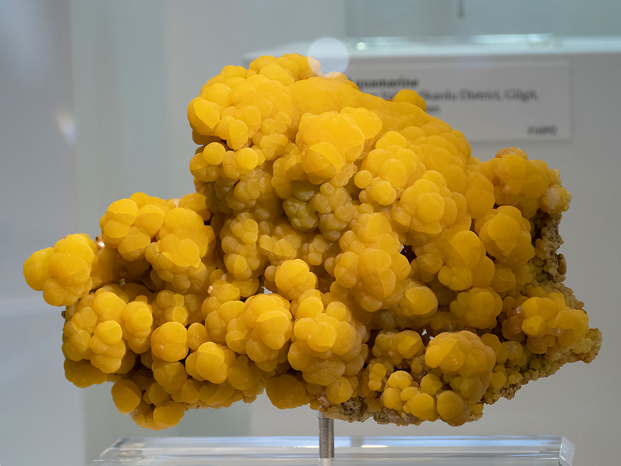 Yellow botryoidal mimetite from San Pedro Corralitos, Chihuahua, Mexico