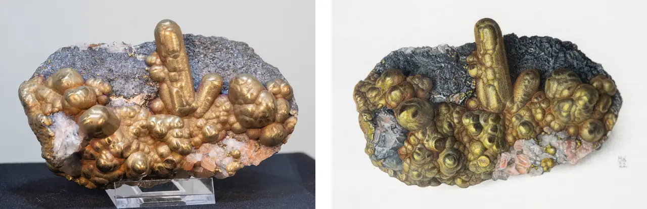 Mineral specimen and Hildegard Könighofer painting of botryoidal chalcopyrite (variety blister copper) from Tonglushan, Hubei, China.