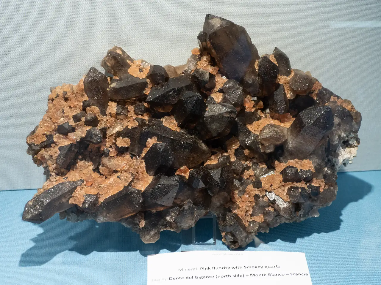 Nice dark smoky quartz cluster with small pink fluorite from Dente del Gigante, Mt. Blanc Massif, France.
