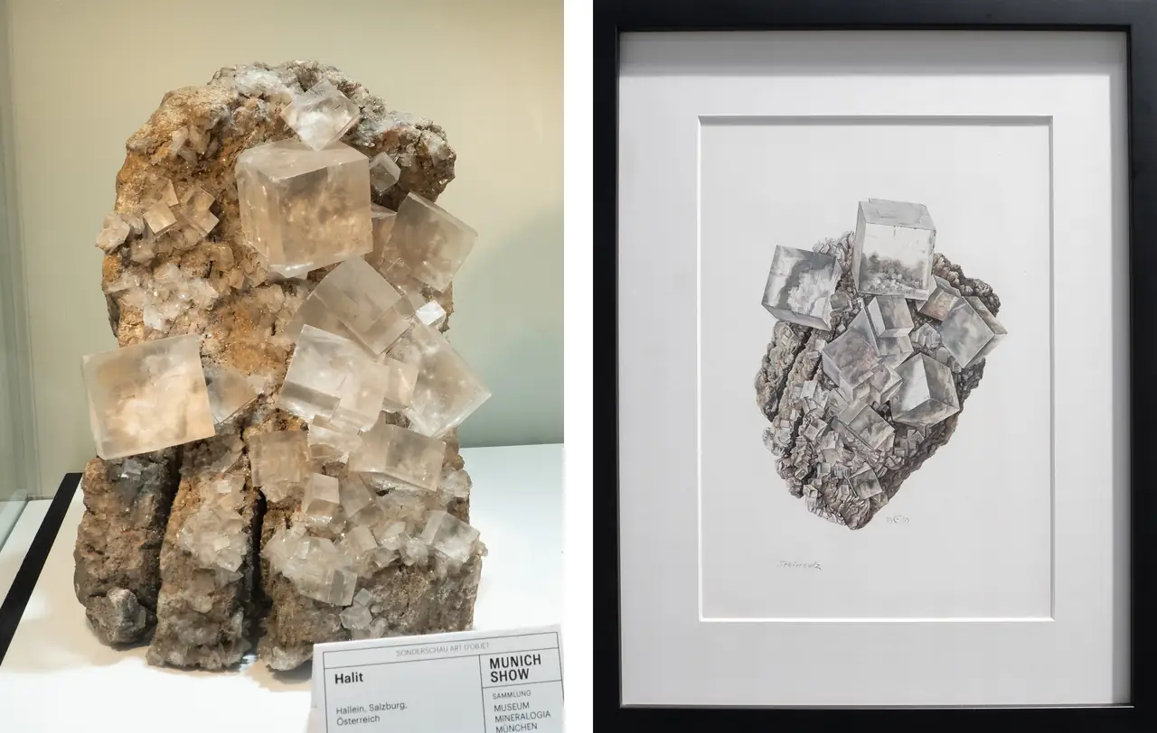Mineral specimen and Claus Caspari painting  of clear halite crystals from Hallein, Salzburg, Austria.