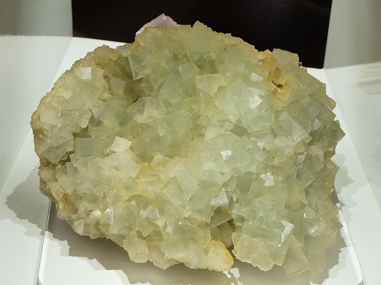 Pale green Alpine fluorite cluster from the Weisseck Mt., Radstädter Tauern, Austria