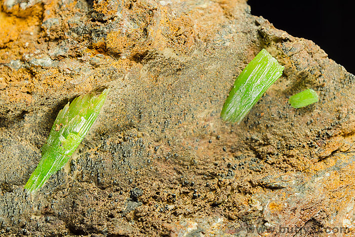 Green pyromorphite crystals from Komárovice, Czech Republic