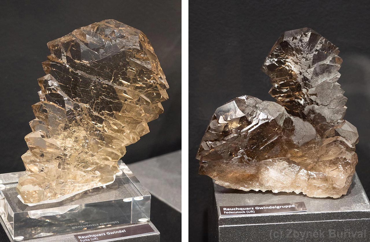 Perfect smoky quartz gwindels from Kanton Uri, Switzerland