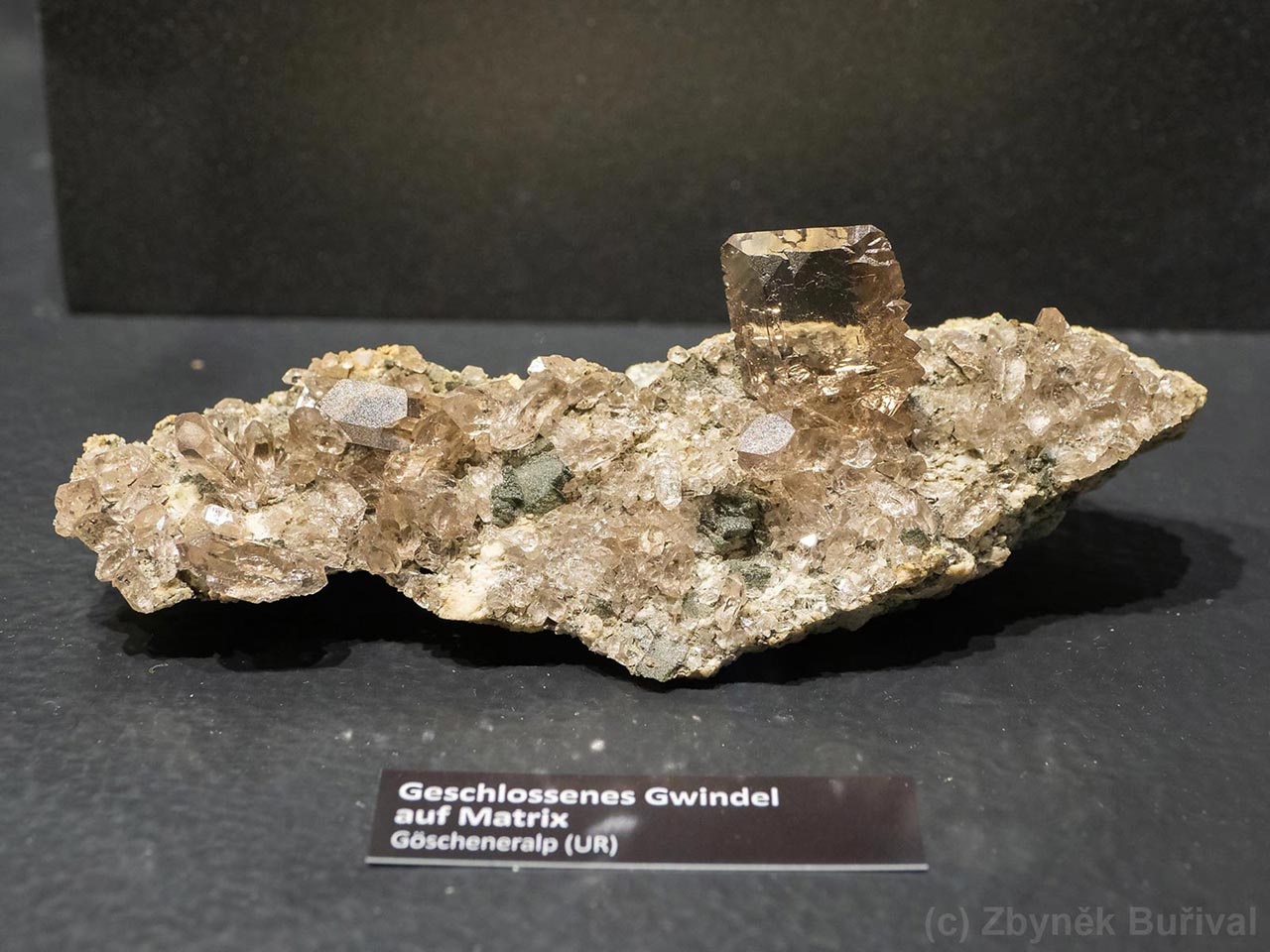 Smoky quartz closed gwindel on matrix from Göscheneralp, Switzerland