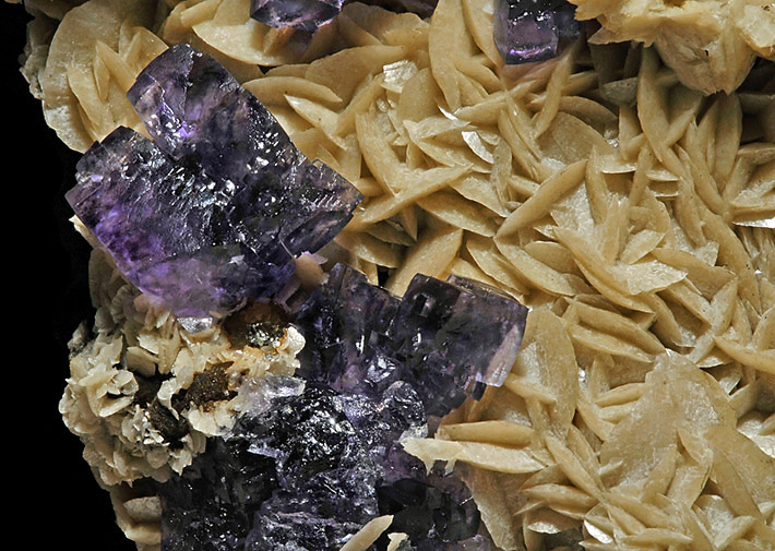 Pale brown siderite crystals with purple fluorite from Piaotang Mine, Jiangxi Province, China