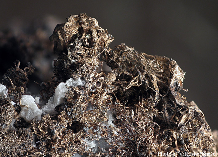 Native silver wires from Pribram, Czech Republic