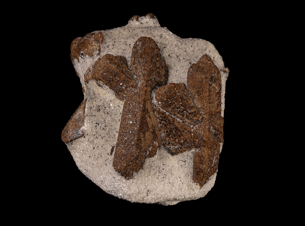 Two 60° X-shaped staurolite crystal twins in fine grained matrix from Pestsovye Keivy, Keivy Mountains, Lovozersky District, Russia