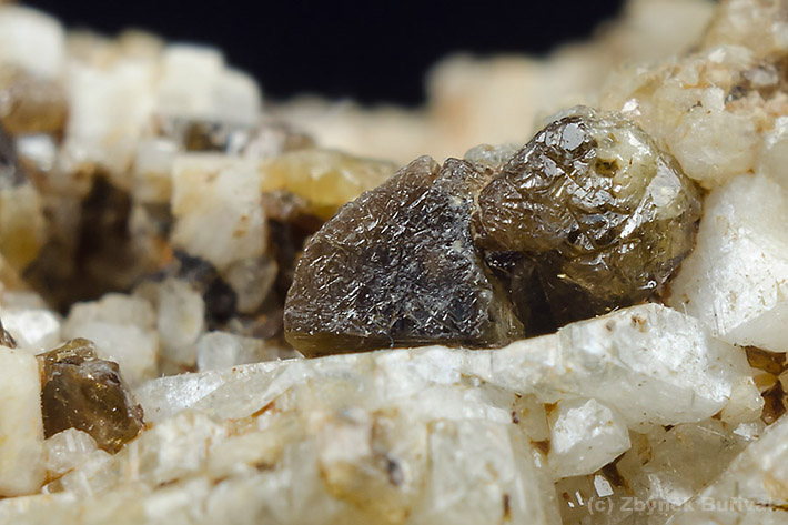 Brown titanite on albite from pegmatite near Kovarov, Czech Republic