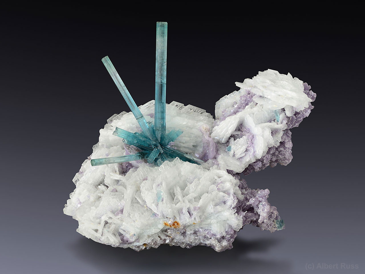 Bright blue tourmaline crystals on contrasting white cleaveladite and pink-purple lepidolite from Golconda Mine, Governador Valadares, Minas Gerais, Brazil 
