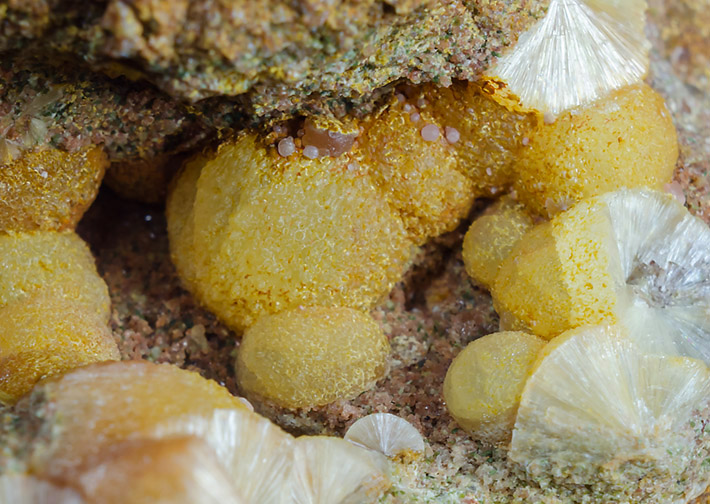 Wavellite spheres with strengite from Trenice, Czech Republic