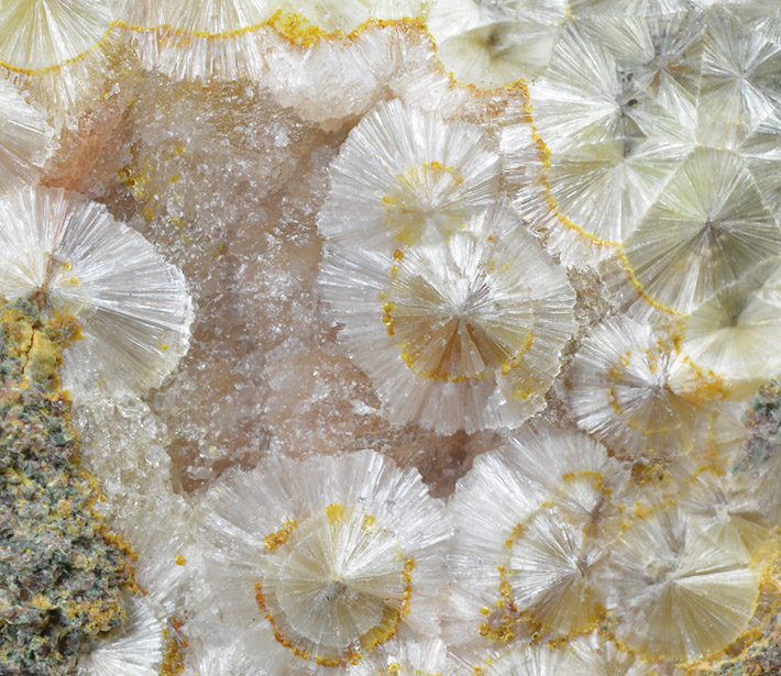 Aggregates of white wavellite interlaced with yellow layer of cacoxenite from Trenice, Czech Republic