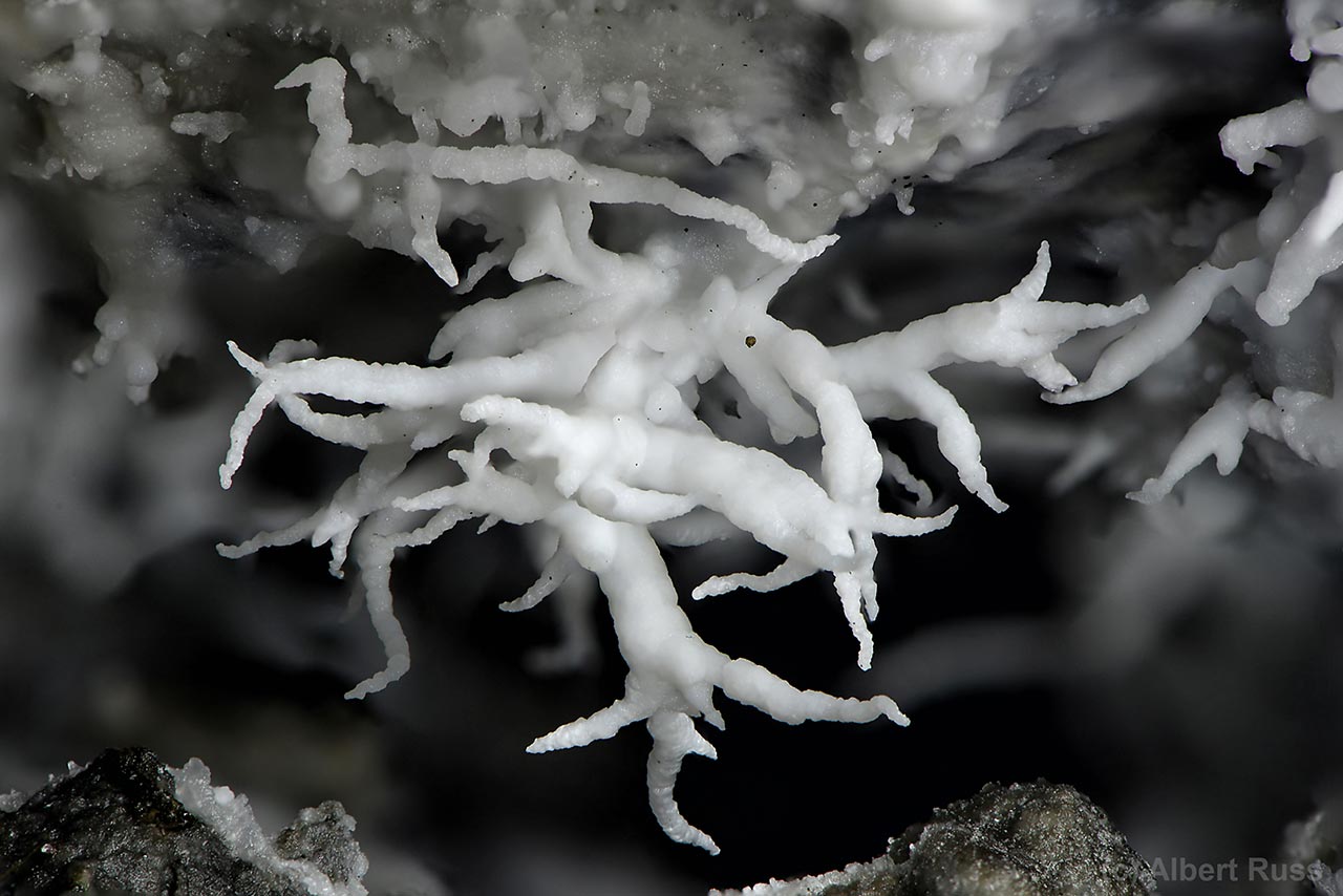 Detail of floss feri aragonite from Dobšiná, Slovakia