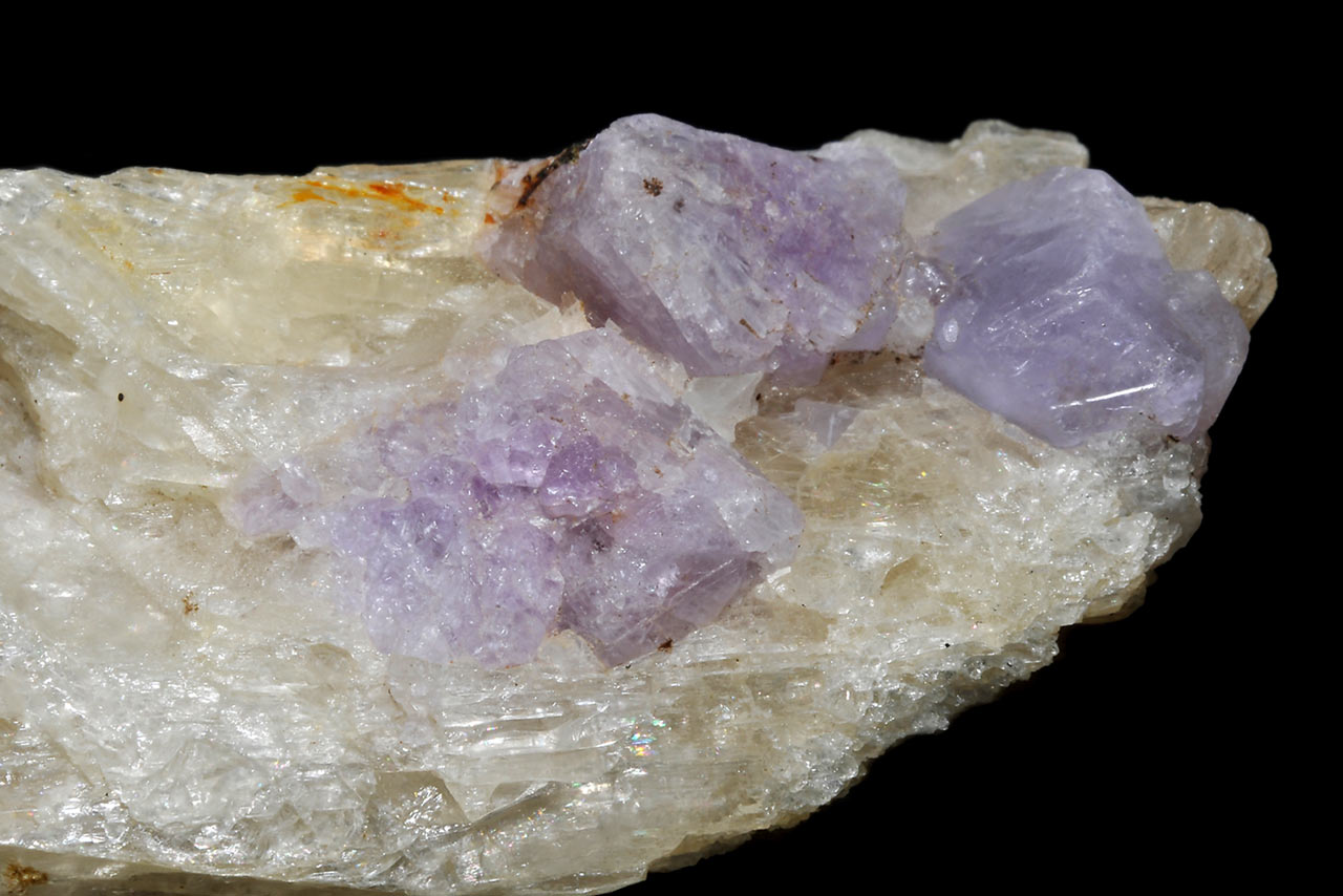 Bluish crystals of sodalite (var. hackmanite) in pale winchite matrix from Kokcha Valley, Afghanistan