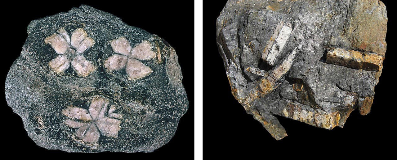 Chiastolite andalusite crystals in matrix