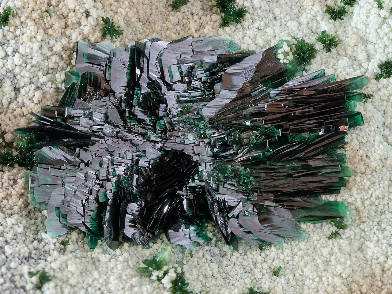 Tabular atacamite crystals on halloysite from La Farola Mine, Atacama Desert, Chile