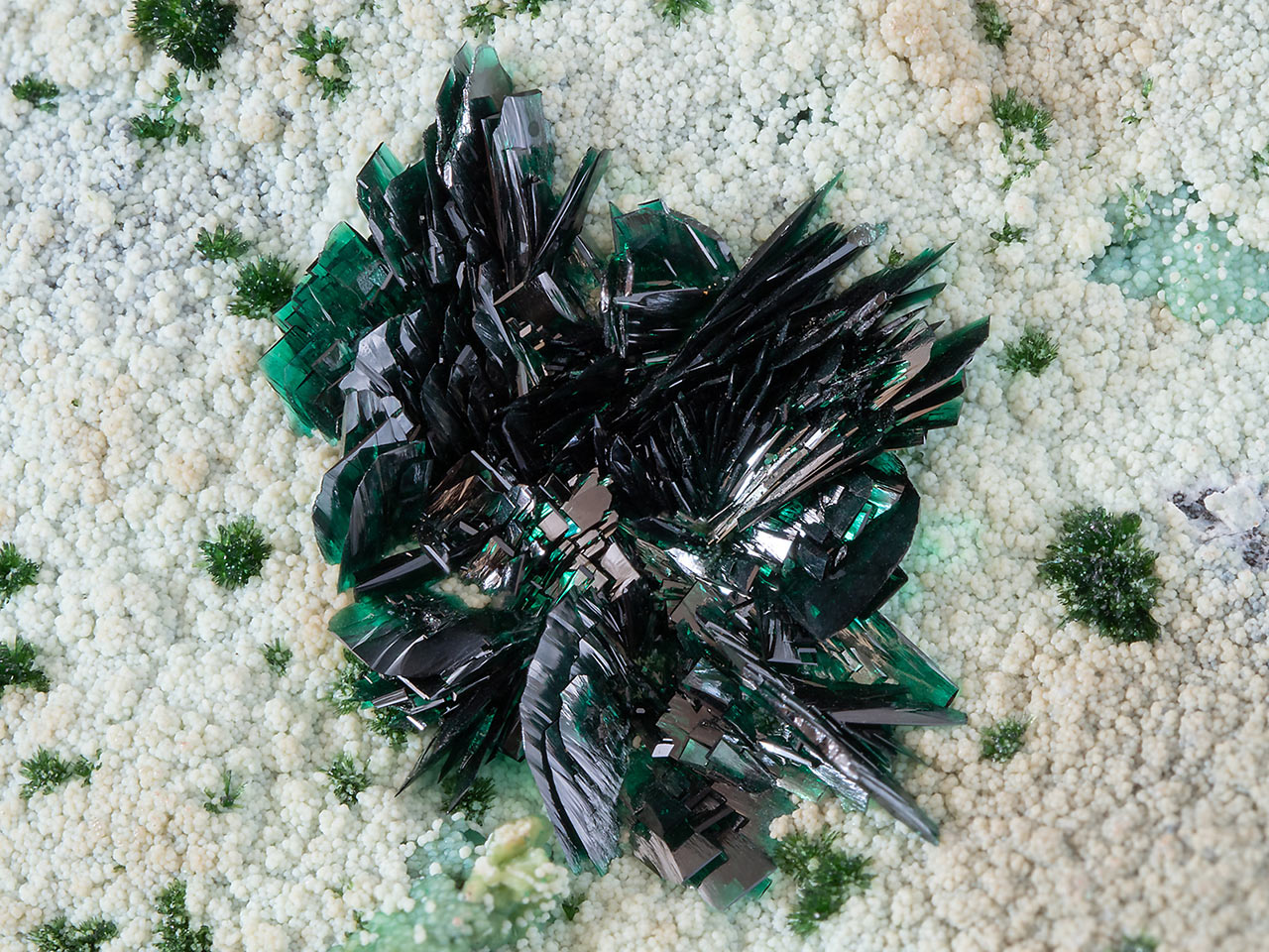 Tabular crystals of dark green atacamite on the white halloysite from La Farola Mine, Atacama Desert, Chile