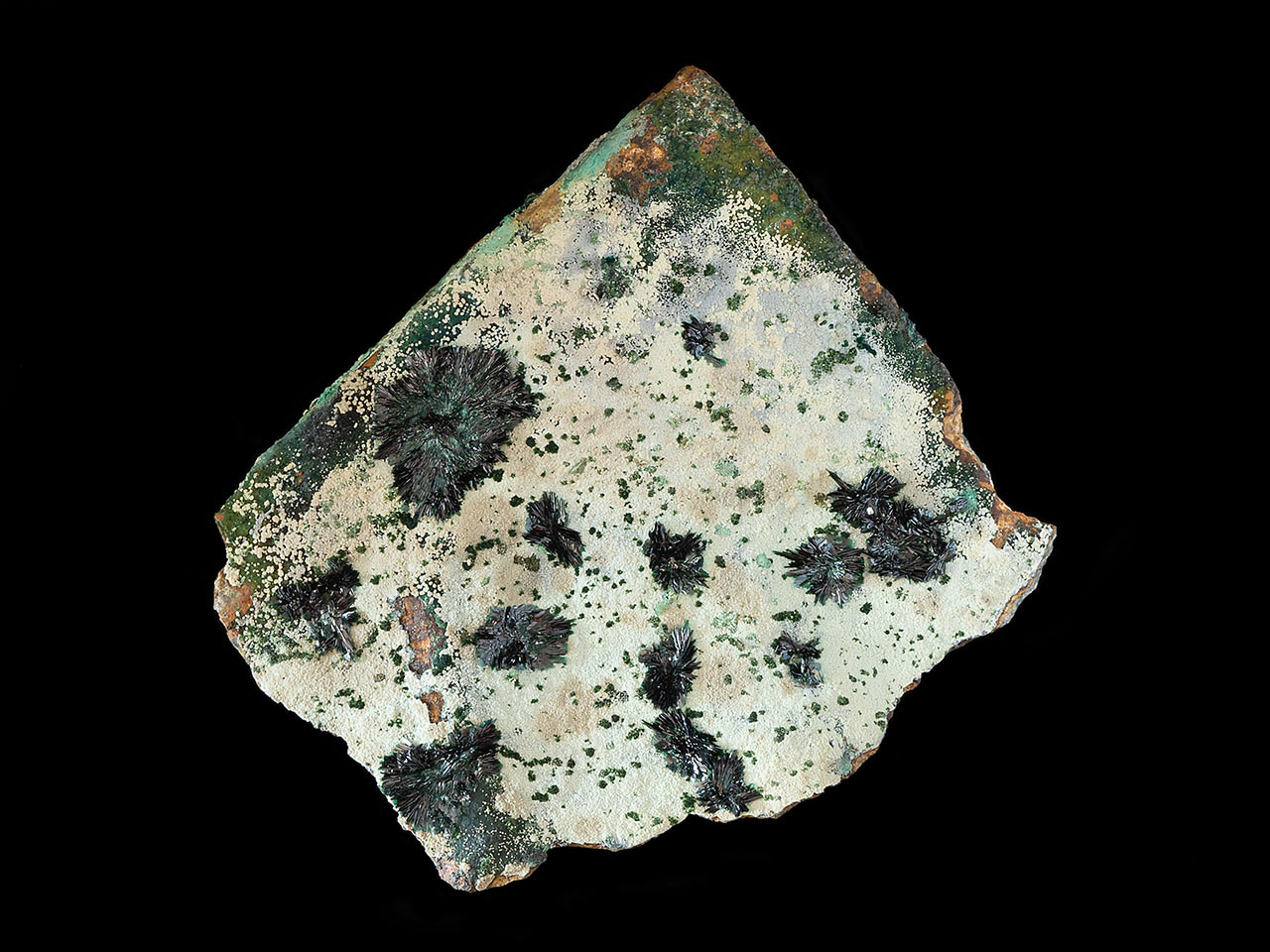 Sprays of dark green atacamite crystals on white halloysite from  La Farola Mine, Atacama Desert, Chile