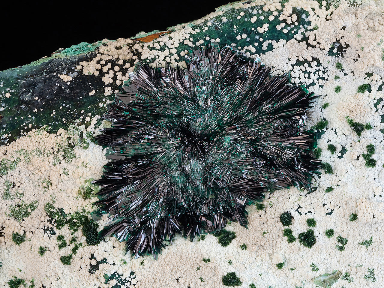 Spray of prismatic atacamite crystals with halloysite and chrysocolla from  La Farola Mine, Atacama Desert, Chile.