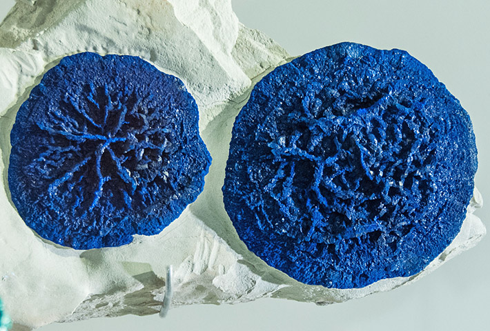 Spheric blue azurite aggregates from Malbunka, Australia