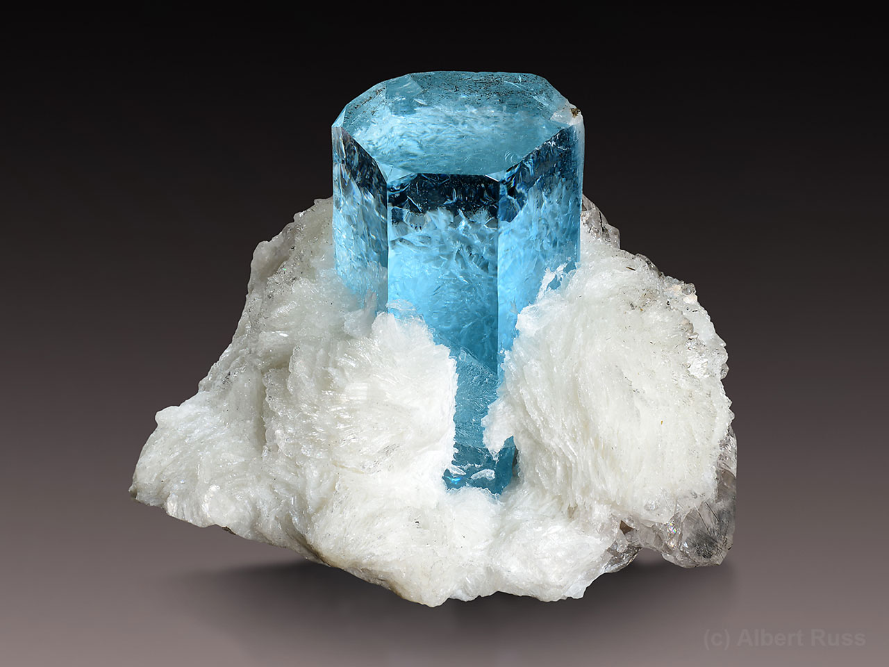 Perfect gemmy aquamarine crystal on white albite from Pakistan