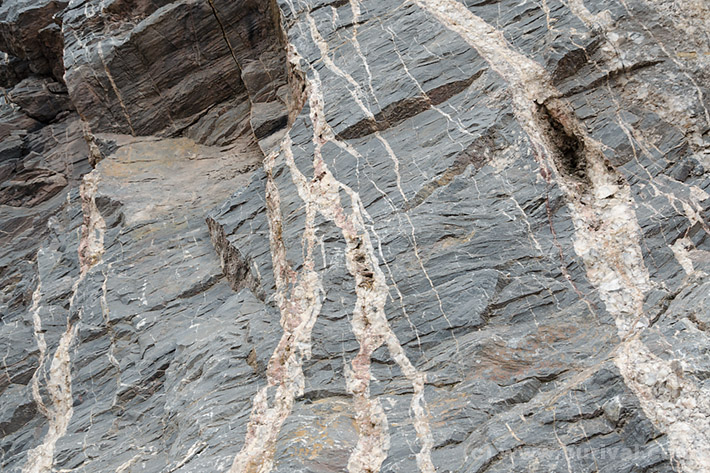 Calcite veins cross-cutting devonian limestone