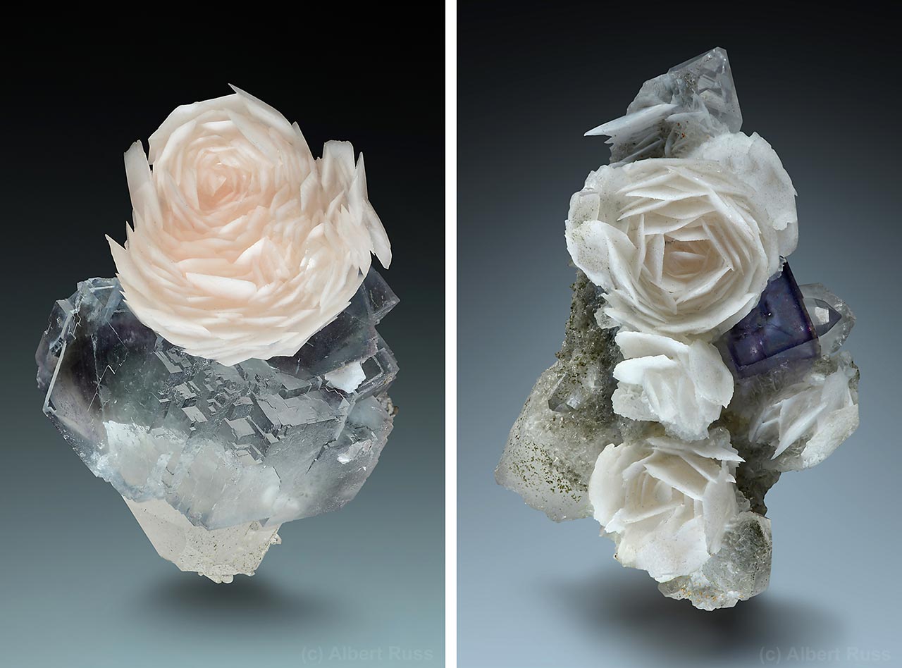Stunning calcite flowers and blue fluorite on quartz from Yaogangxian Mine, Chenzhou, Hunan Province, China