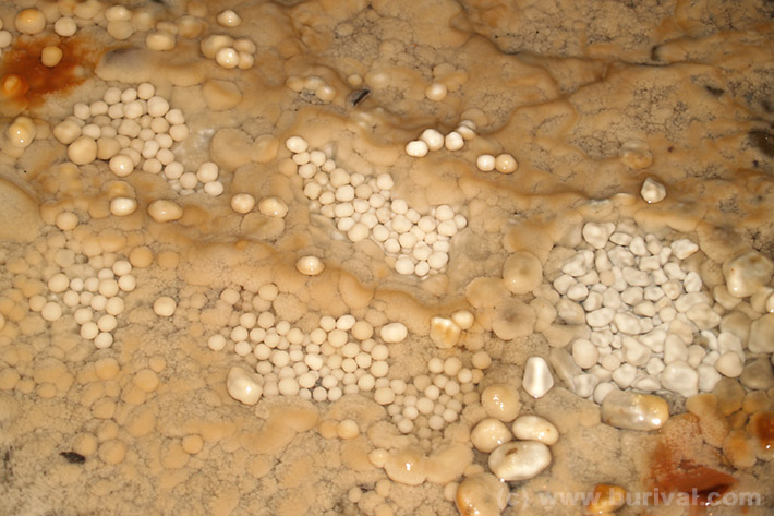 Cave pearls inside the pools made of the soft rock milk calcite
