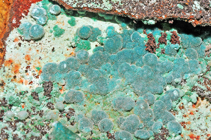 Blue-green colored balls of chrysocolla mineral from Mine Ojuela Mine in Mexico