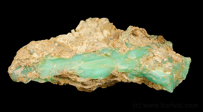 Apple green chrysoprase chalcedony from Szklary, Poland