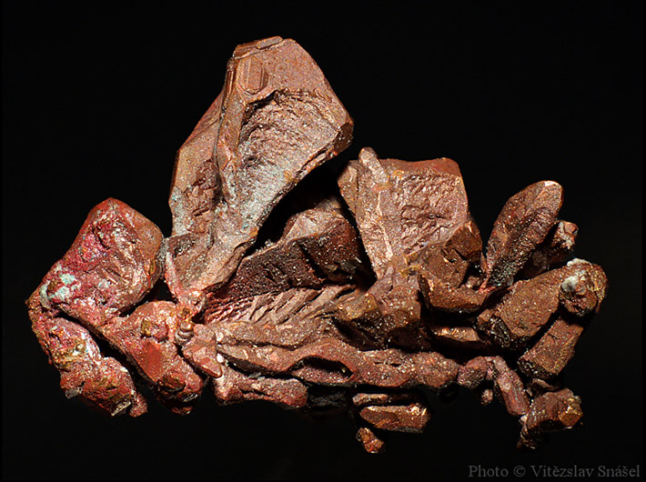 Skeletal crystals of copper from Dzheskazgan, Kazakhstan