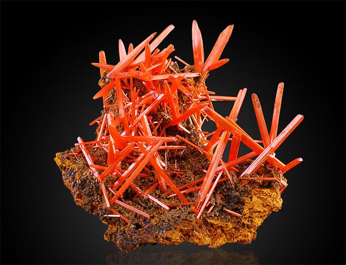 Cluster of orange-red crocoite crystals from Adelaide Mine, Tasmania