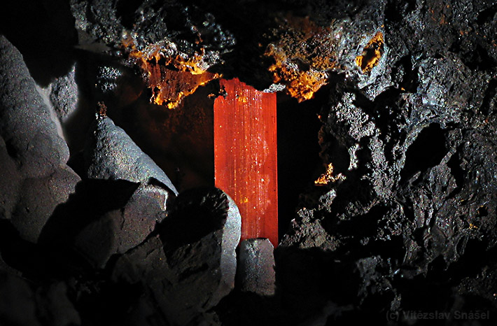 Detail of crocoite crystal inside the dark iron-manganese oxides matrix from Dundas region, Tasmania