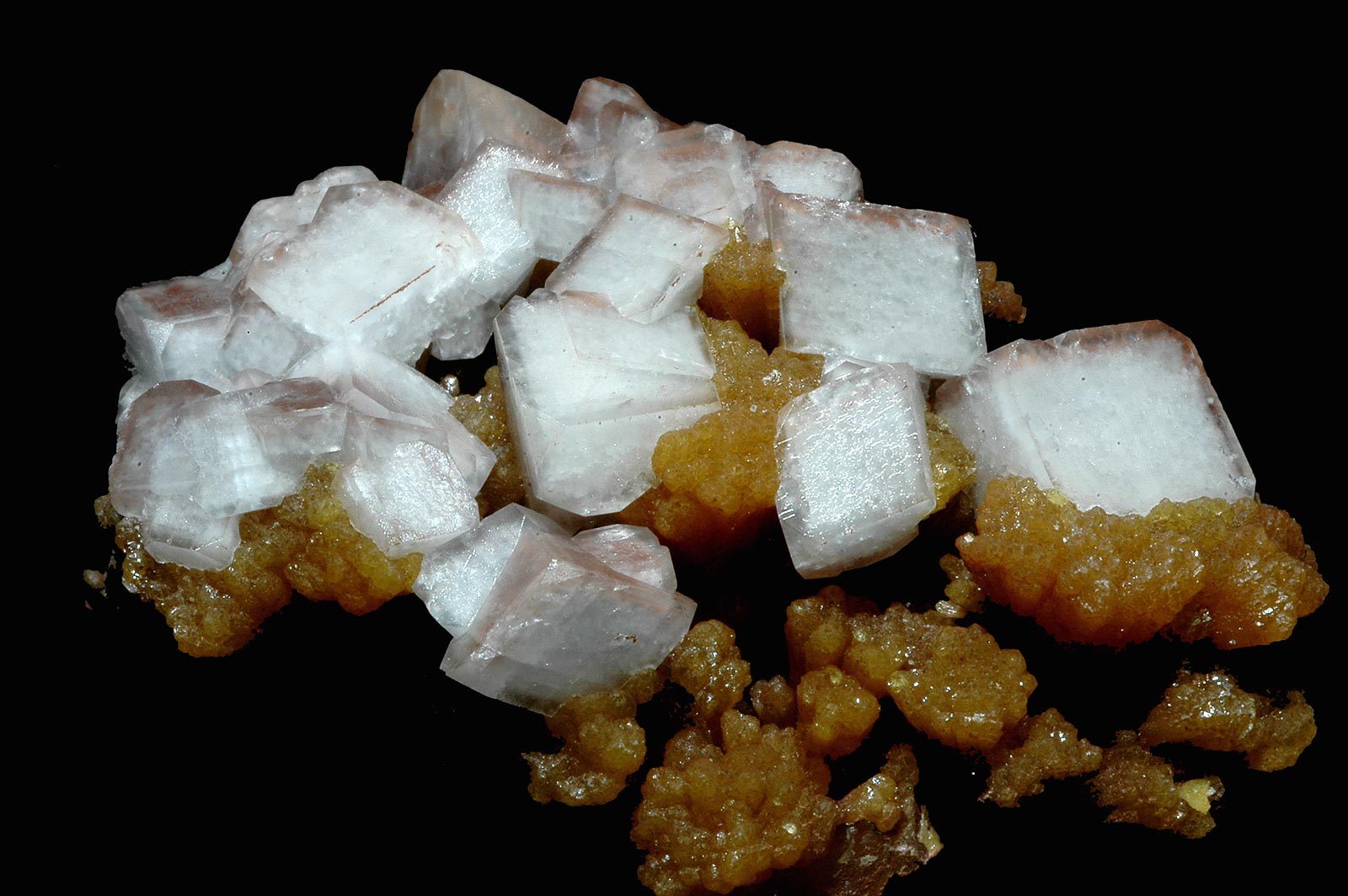 White rhombic crystals of dolomite with yellow crystals of mimetite from Morocco