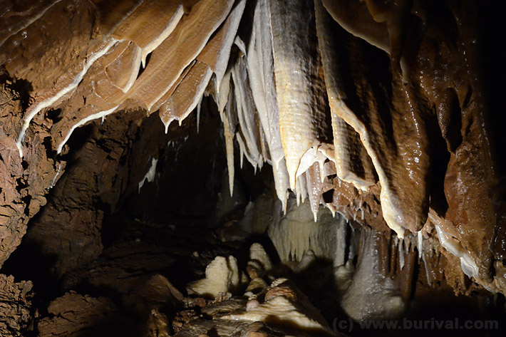 Stalactites inside the karst cave near Tišnov, Czech Republic