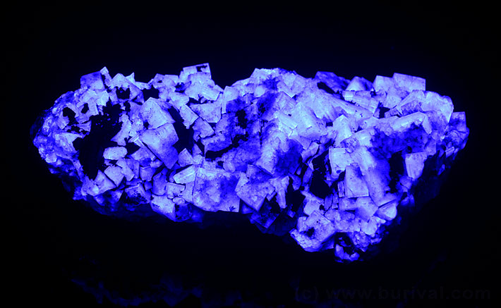 Fluorescence of fluorite crystal cluster in UV black ligt