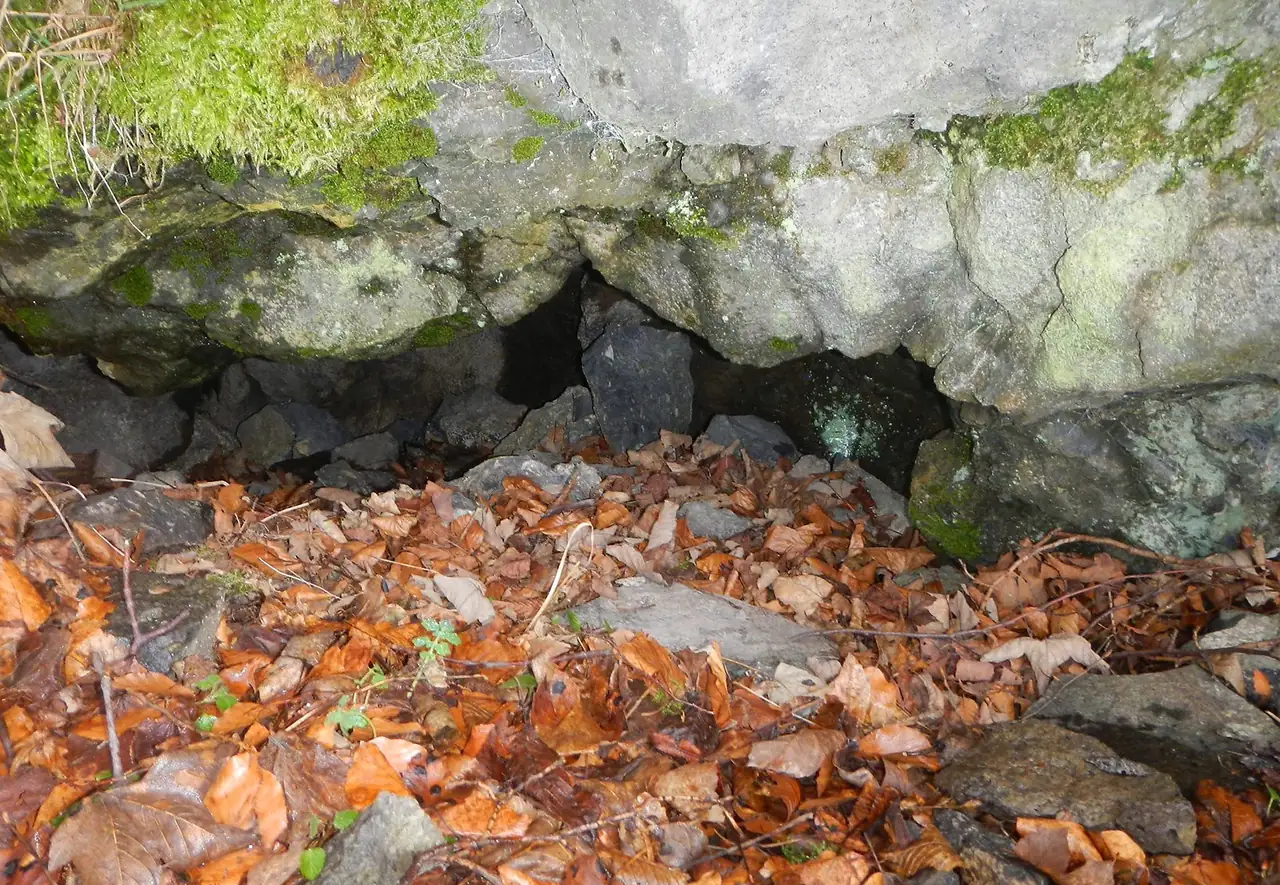 Remnants of the lava cave, almost fully filled by rock debris