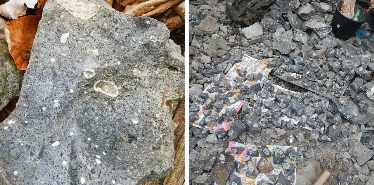 Volcanic rock with clinopyroxene phenocrysts and volcanic vesicles filled by zeolites