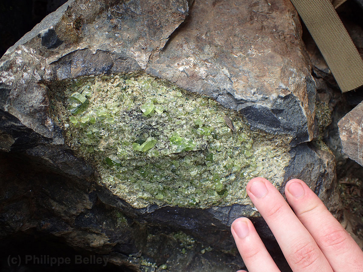 Grainy olivine nodule (peridotite xenolith) in basalt hostrock from British Columbia, Canada