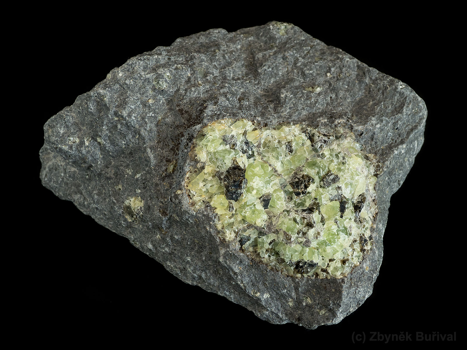 Forsterite aggregate in basalt