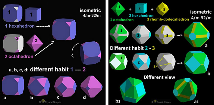 Various crystal shapes of galena