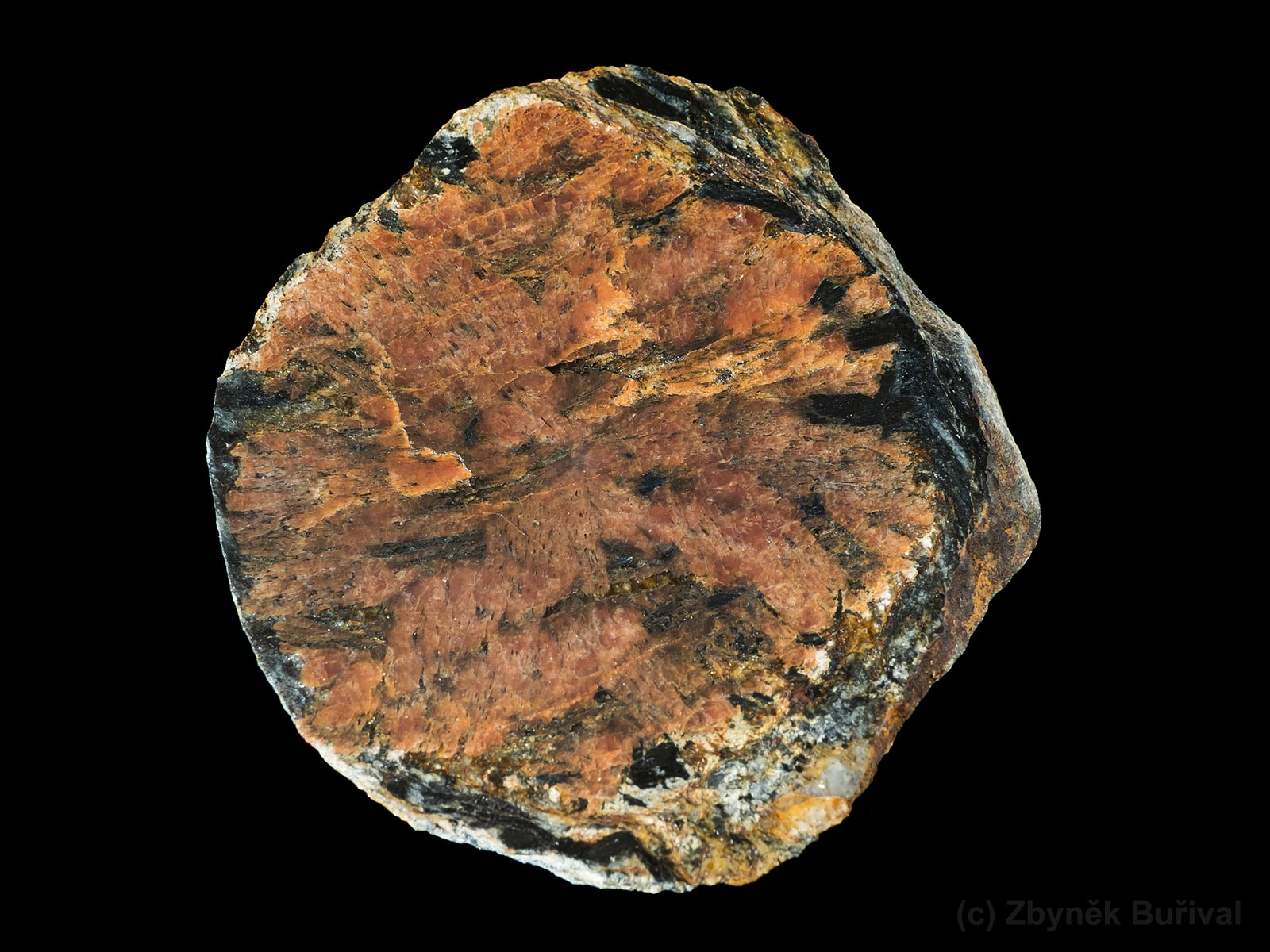 Cut and polished garnet crystal from Ústup