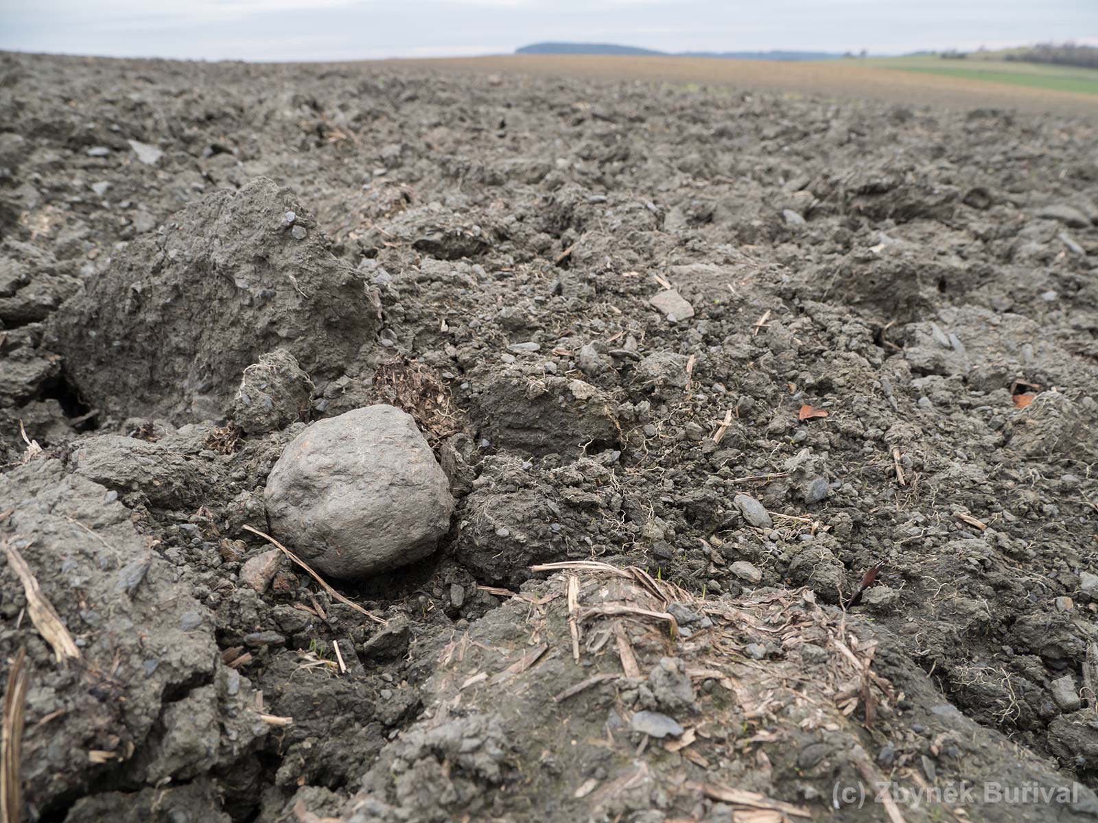 Big almandine garnet crystal on the ploughed field