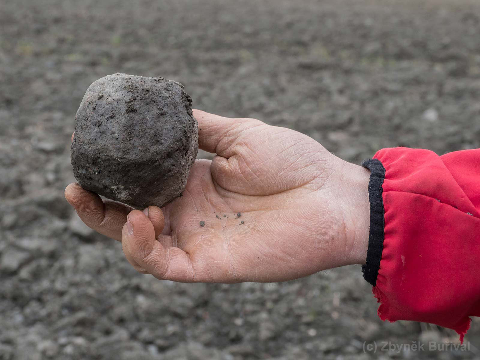 Mineral collector holding freshly found garnet crystal