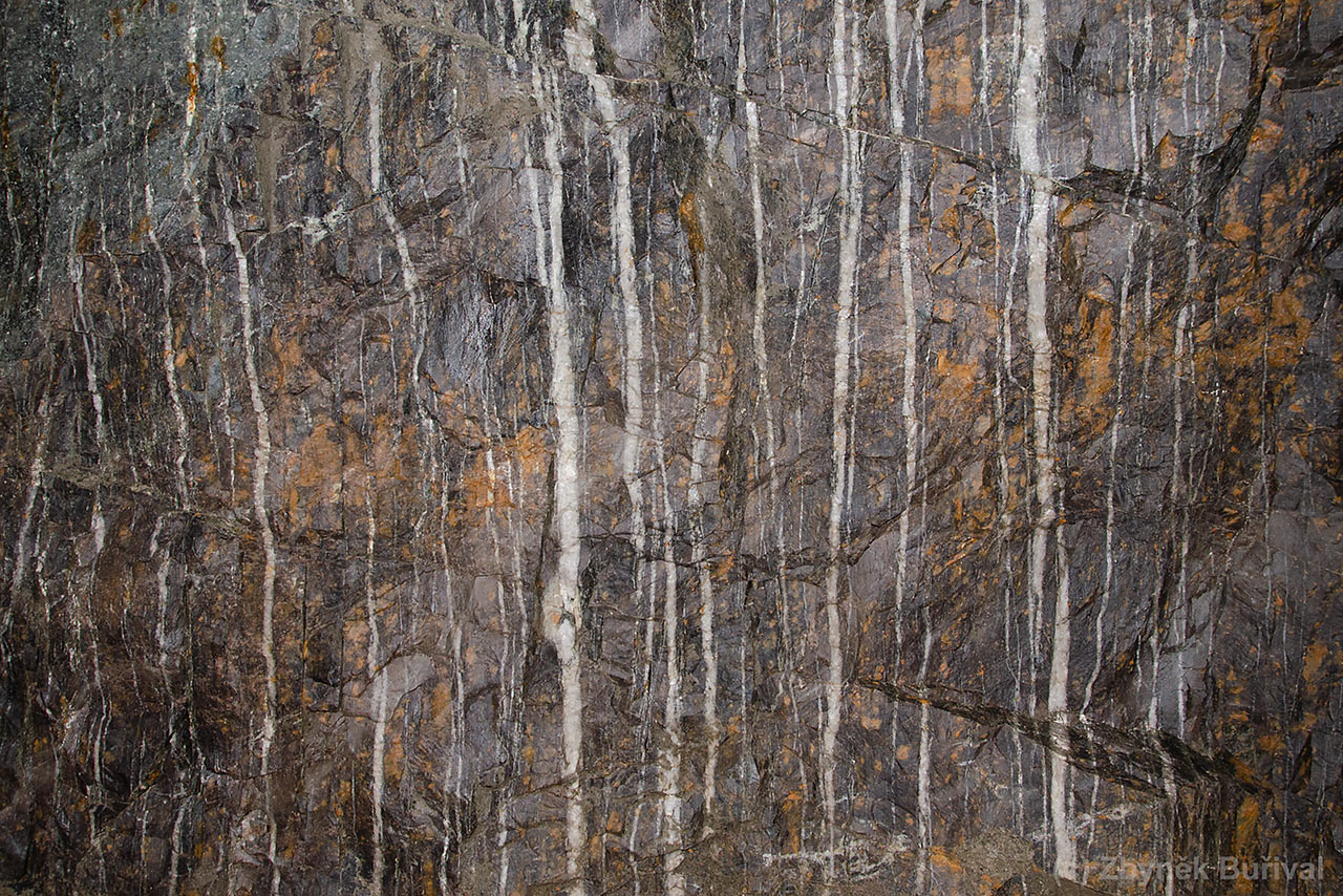 Swarm of tiny gold-bearing quartz veinlets at Mokrsko deposit, Czech Republic